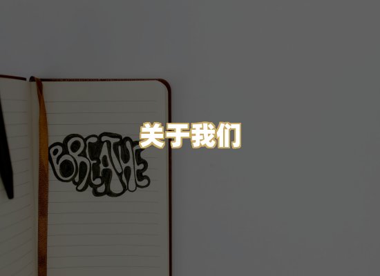 关于我们
